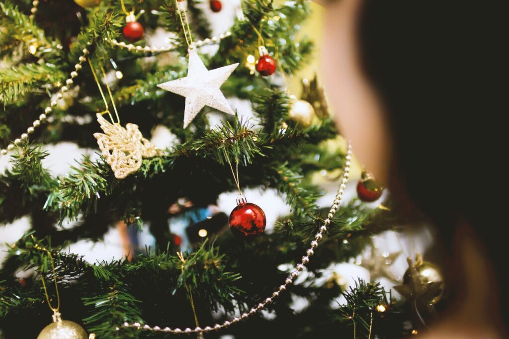 Christmas around the world - India - Christmas tree decorations