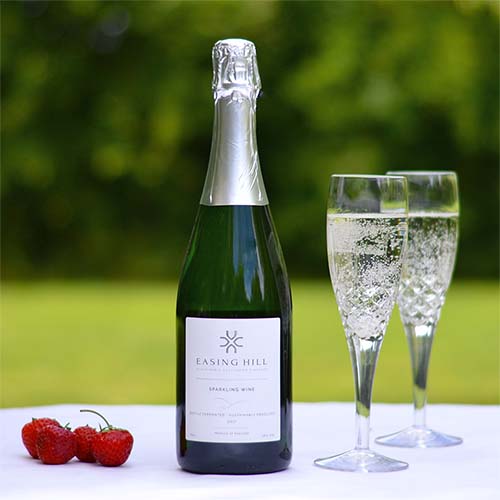 Easing Hill - English Sparkling Wine